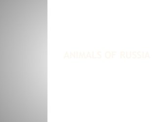 Animals of russia