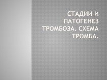 Стадии и патогенез тромбоза. Схема тромба.