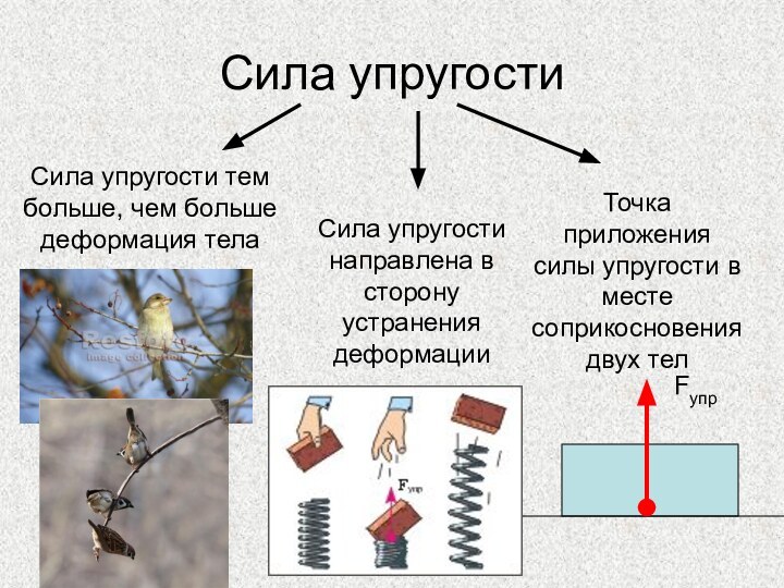 Сила упругостиСила упругости тем больше, чем больше деформация телаСила упругости направлена в