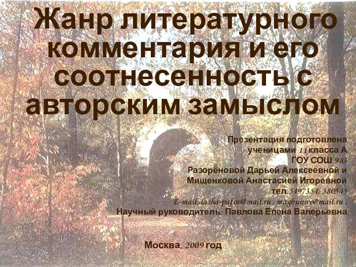 Жанр литературного комментария и его соотнесенность с авторским замыслом