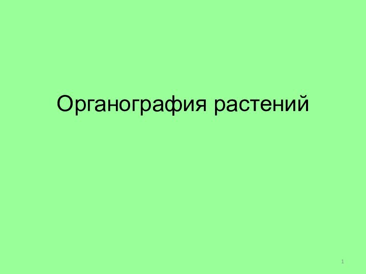 Органография растений