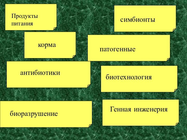 Продукты питаниякормаантибиотикибиоразрушениесимбионтыпатогенныебиотехнологияГенная инженерия