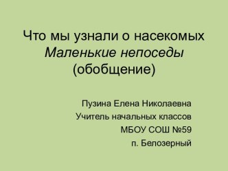 Насекомые