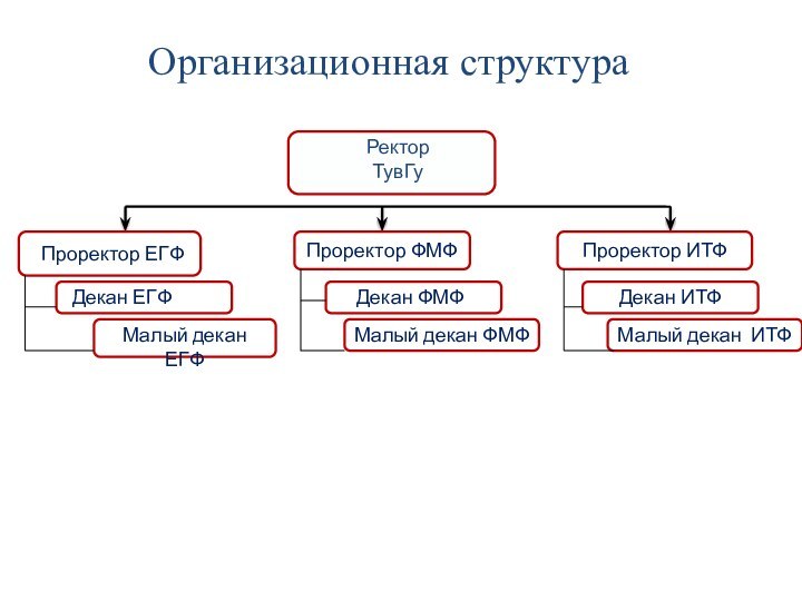 Организационная структураРектор ТувГуПроректор ФМФ Проректор ИТФ Проректор ЕГФ Малый декан ФМФМалый декан