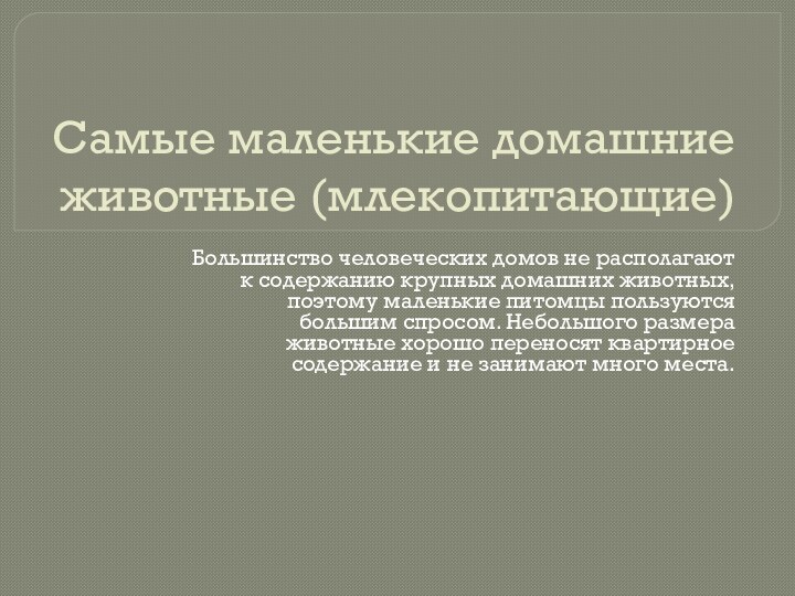 Самые маленькие домашние животные (млекопитающие)Большинство человеческих домов не располагают к содержанию крупных