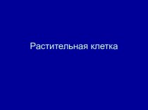 Растительная клетка