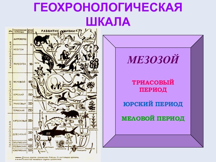 ГЕОХРОНОЛОГИЧЕСКАЯ ШКАЛАМЕЗОЗОЙТРИАСОВЫЙ ПЕРИОДЮРСКИЙ ПЕРИОД МЕЛОВОЙ ПЕРИОД