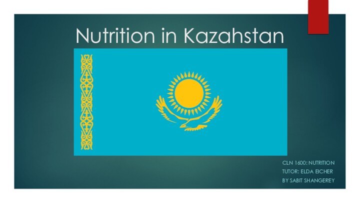 Nutrition in KazahstanCLN 1600: NutritionTutor: Elda EicherBy Sabit shangerey