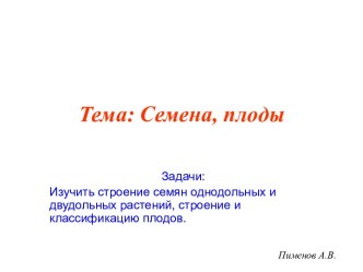 Семена, плоды