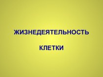 Жизнедеятельность клетки