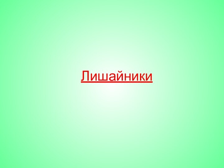 Лишайники