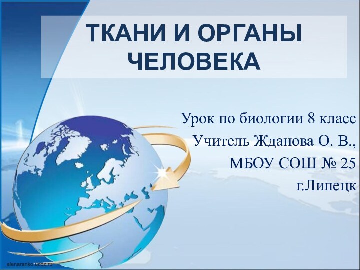 ТКАНИ И ОРГАНЫ ЧЕЛОВЕКАУрок по биологии 8 классУчитель Жданова О. В.,МБОУ СОШ № 25г.Липецк