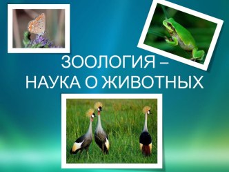 Зоология – наука о животных