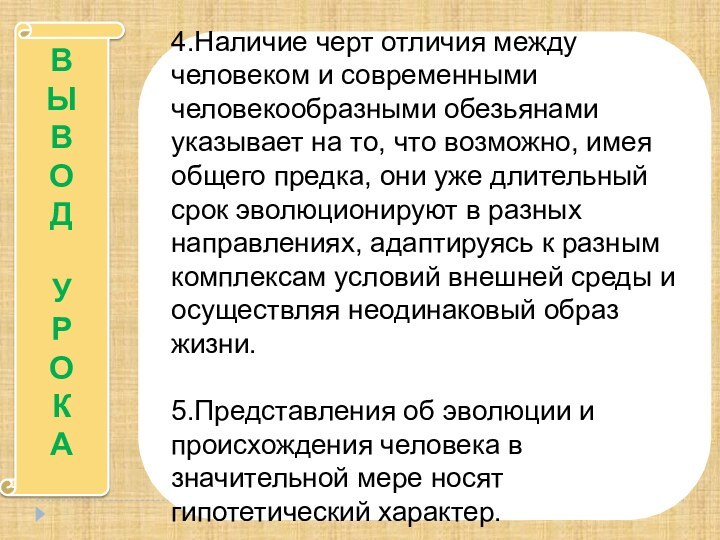 ВЫВОДУРОКА4.Наличие черт отличия между человеком и современными человекообразными обезьянами указывает на то,