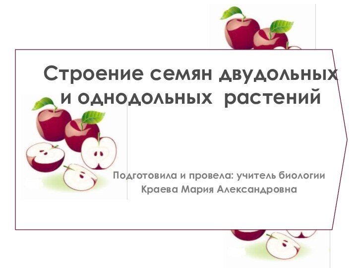 Строение семян двудольных и однодольных растенийПодготовила и провела: учитель биологии Краева Мария Александровна