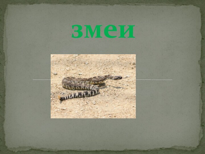 змеи