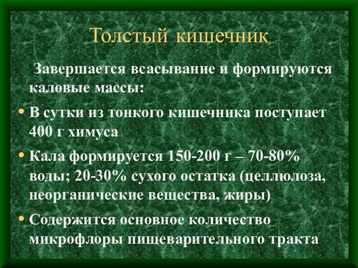 Толстый кишечник	Завершается всасывание и формируются каловые массы:В сутки из тонкого кишечника поступает