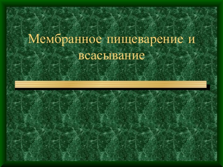 Мембранное пищеварение и всасывание