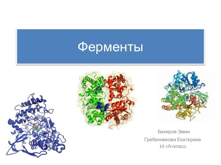 Ферменты Бекиров ЭминГребенникова Екатерина10 «А»класс