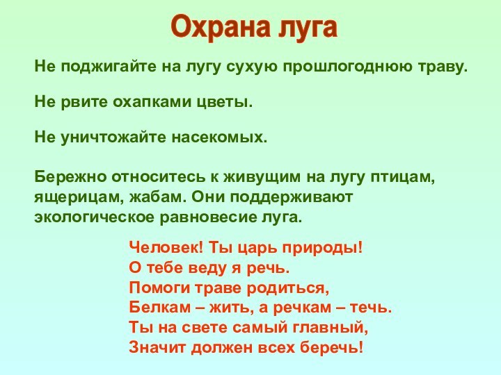 Не поджигайте на лугу сухую прошлогоднюю траву.Не рвите охапками цветы.Не уничтожайте насекомых.Бережно