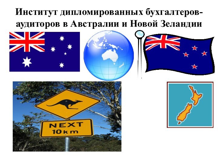 Институт дипломированных бухгалтеров-аудиторов в Австралии и Новой Зеландии