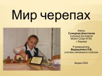 Мир черепах