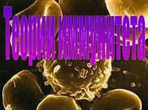 Теории иммунитета