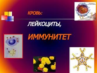 Лейкоциты. Иммунитет