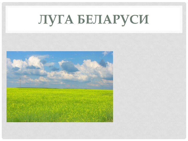 Луга Беларуси