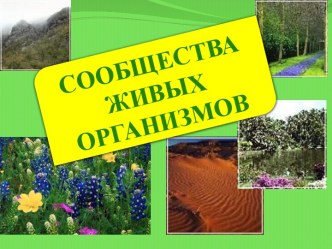 Сообщества живых организмов