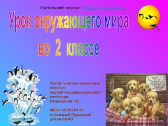 Животные живого уголка