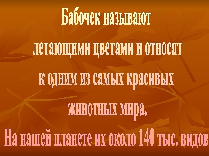 Бабочек называют летающими цветами и относят к одним из самых красивых животных