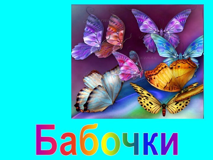 Бабочки