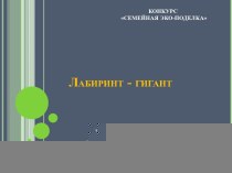 Лабиринт - гигант