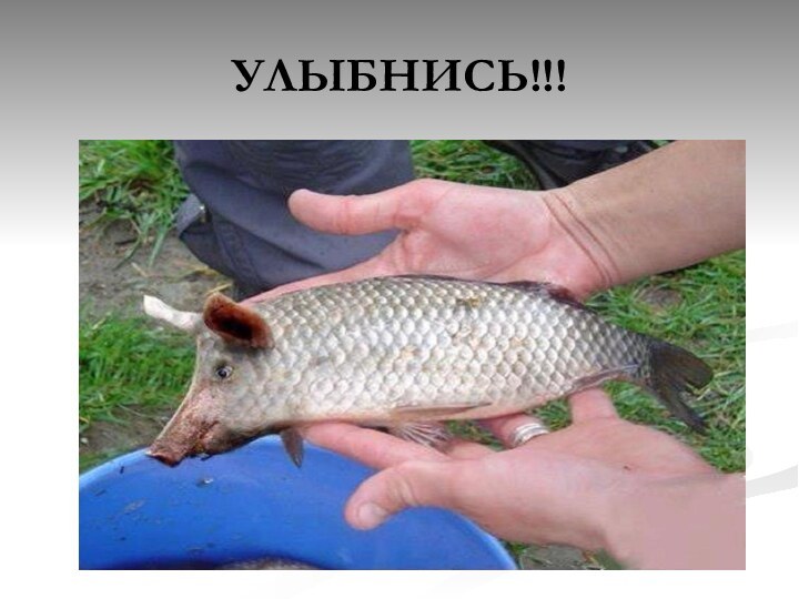 УЛЫБНИСЬ!!!