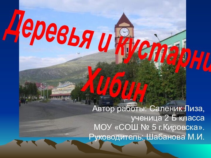 Автор работы: Саленик Лиза,ученица 2 Б классаМОУ «СОШ № 5 г.Кировска».Руководитель: Шабанова М.И.Деревья и кустарникиХибин