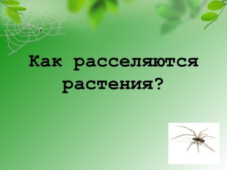 Как расселяются растения?