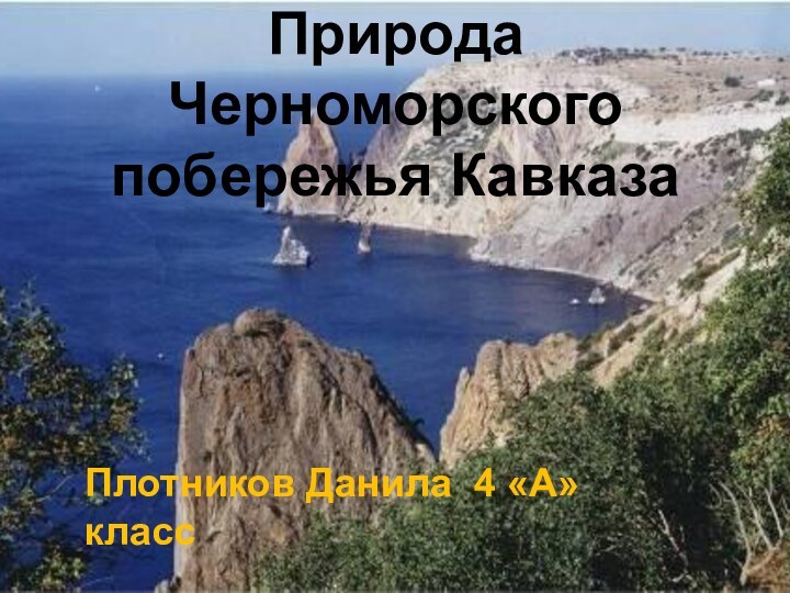 Природа Черноморского побережья КавказаПлотников Данила 4 «А» класс
