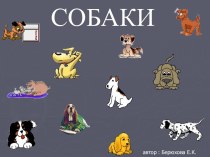 Собаки