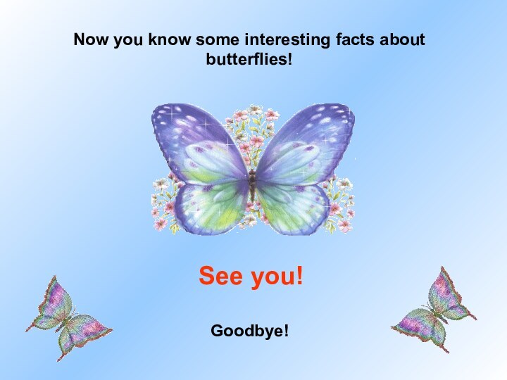 Now you know some interesting facts about butterflies!See you!Goodbye!