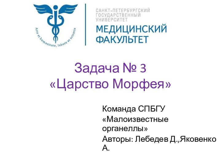 Задача № 3 «Царство Морфея»Команда СПБГУ«Малоизвестные органеллы»Авторы: Лебедев Д.,Яковенко А.