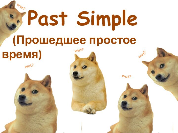 Past Simple  (Прошедшее простое время)wut?wut?wut?wut?wut?