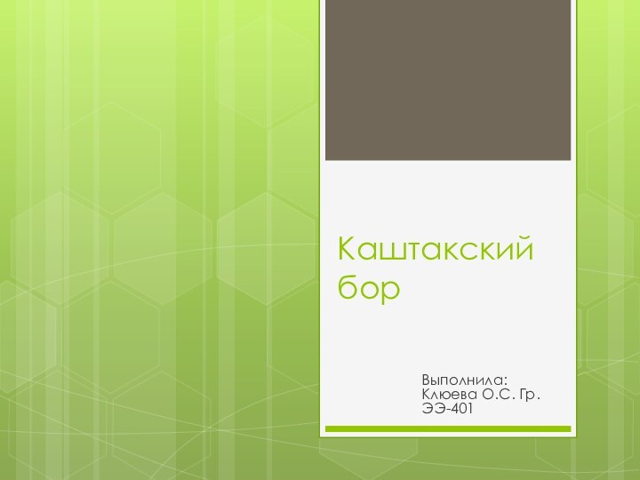 Каштакский борВыполнила: Клюева О.С. Гр.ЭЭ-401