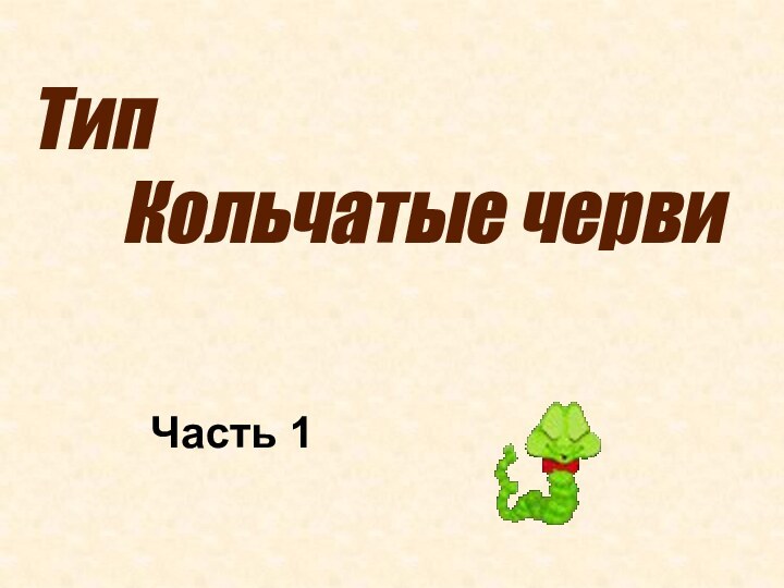 Тип Кольчатые червиЧасть 1