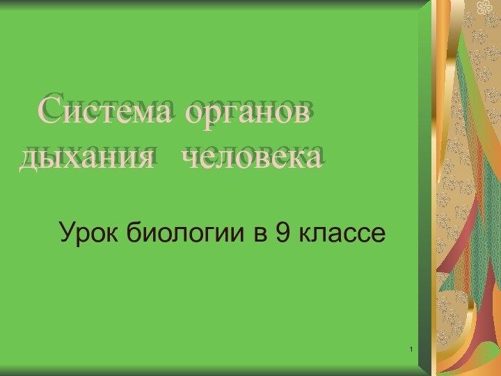 Система органов дыхания человекаУрок биологии в 9 классе