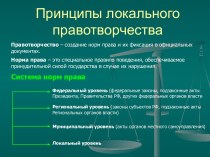 Принципы локального правотворчества