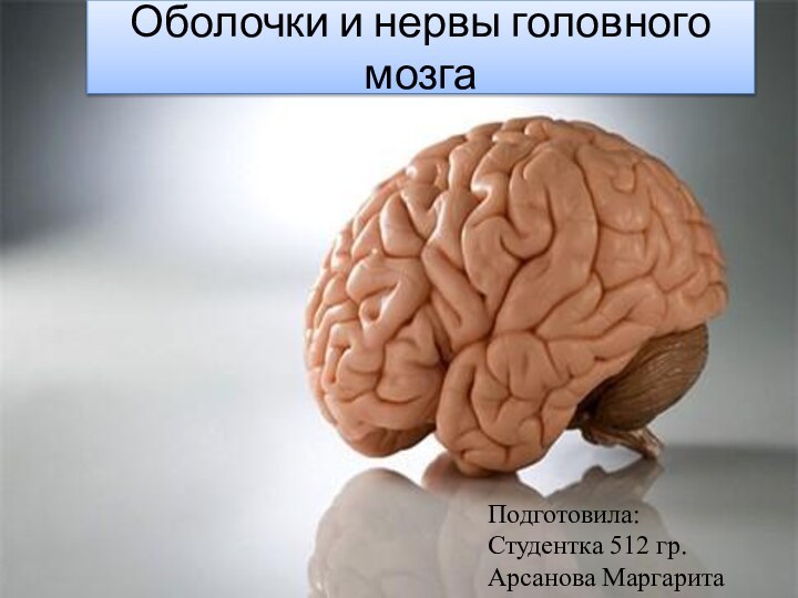 Оболочки и нервы головного мозгаПодготовила:Студентка 512 гр.Арсанова Маргарита