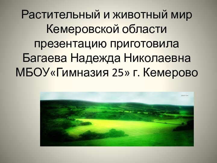 Растительный и животный мир Кемеровской области презентацию приготовила Багаева Надежда Николаевна МБОУ«Гимназия 25» г. Кемерово