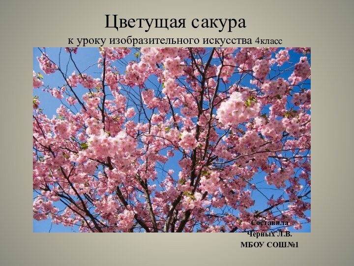 Цветущая сакура  к уроку изобразительного искусства 4класс Составила Черных Л.В.МБОУ СОШ№1