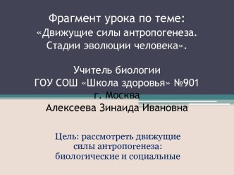 Движущие силы антропогенеза. Эволюция человека